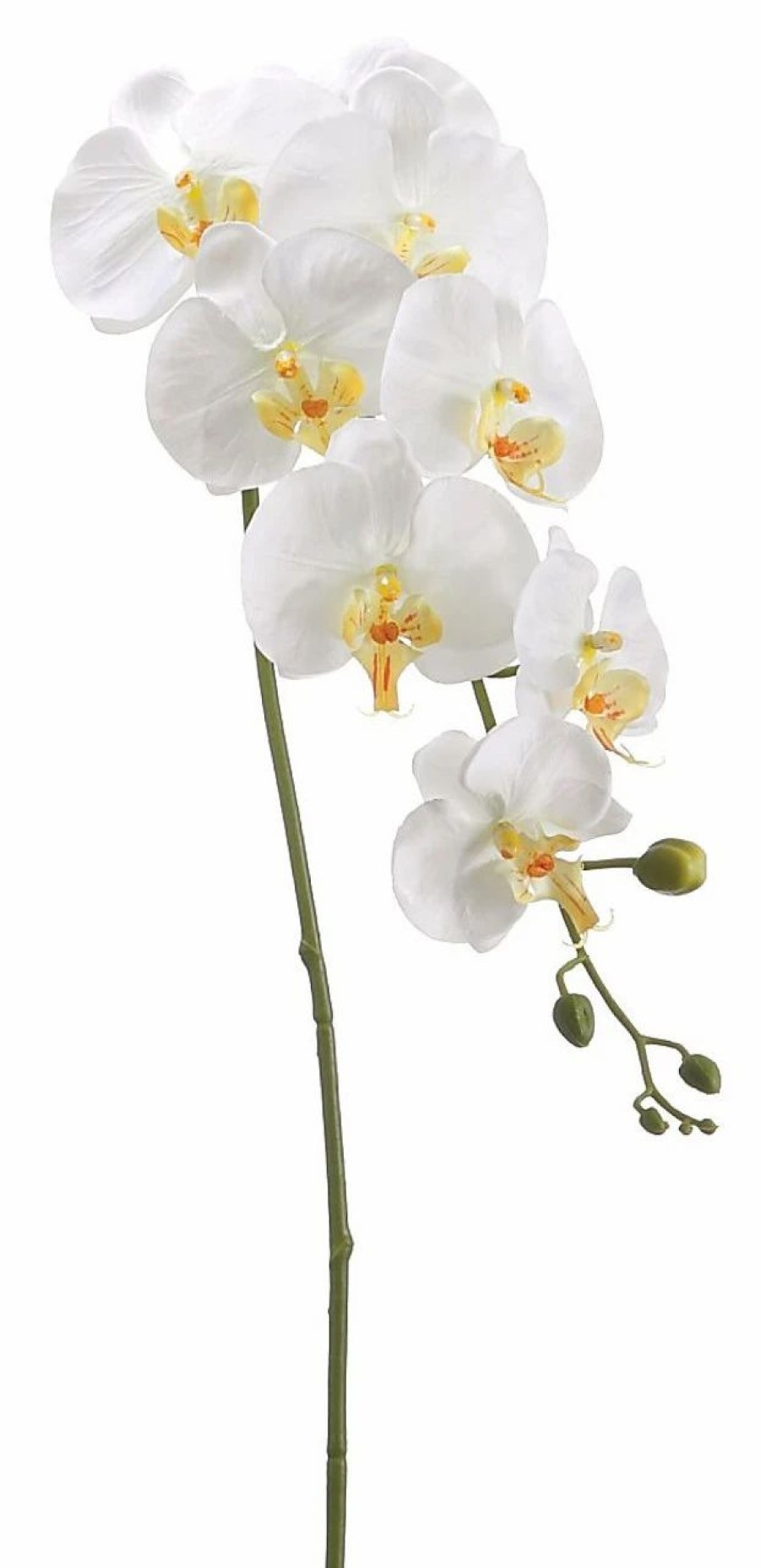 Artificial Florals & Plants * | 40 Phalaenopsis Orchid Spray Cream Yellow Box Of 12