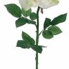 Artificial Florals & Plants * | 26 Diana Rose Spray Apricot Green Box Of 12