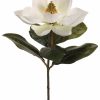 Artificial Florals & Plants * | 24 Magnolia Spray Cream Box Of 12