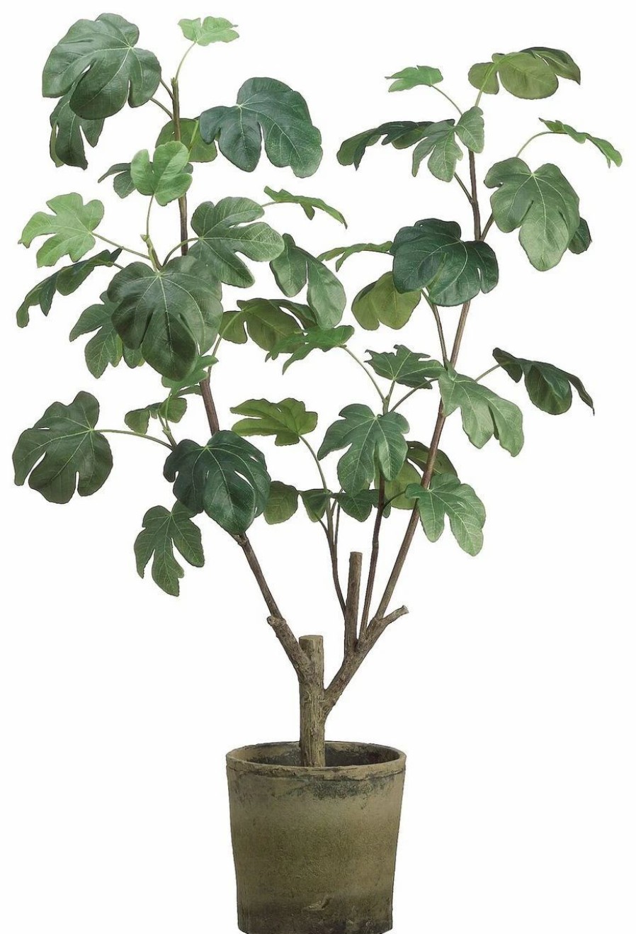 Artificial Florals & Plants * | 48 Fig Plant In Clay Pot Green