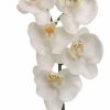 Artificial Florals & Plants * | 26 Phalaenopsis Orchid Spray White Box Of 12