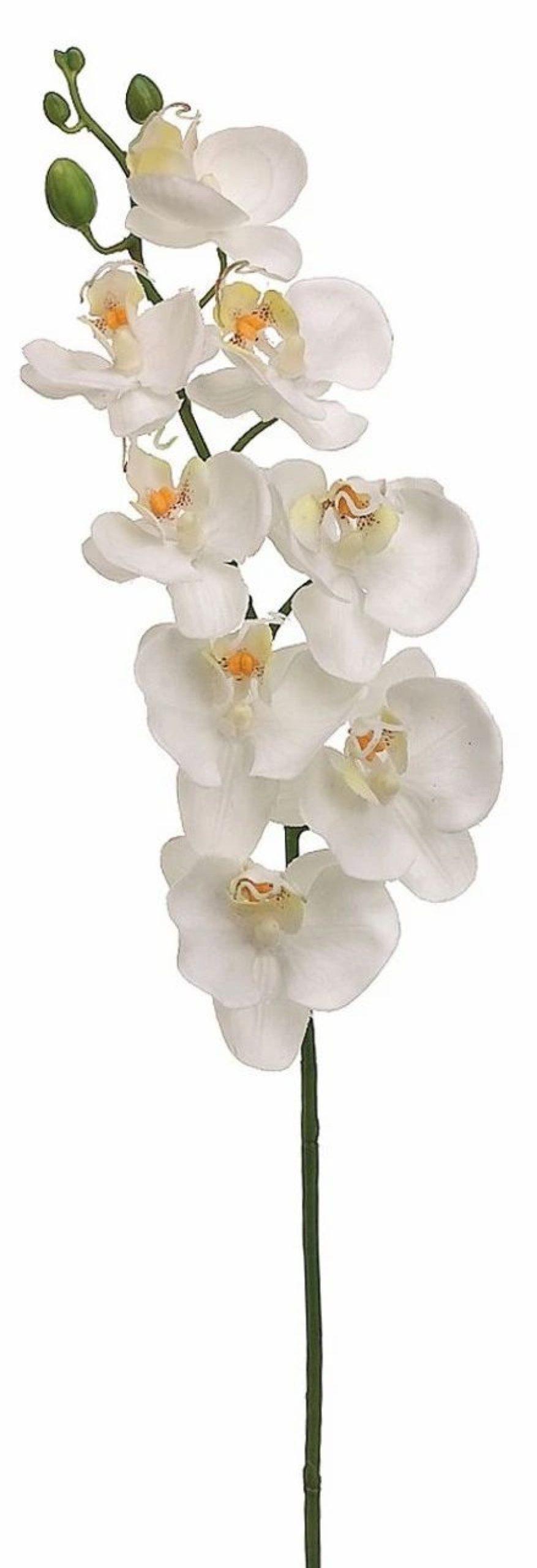 Artificial Florals & Plants * | 26 Phalaenopsis Orchid Spray White Box Of 12