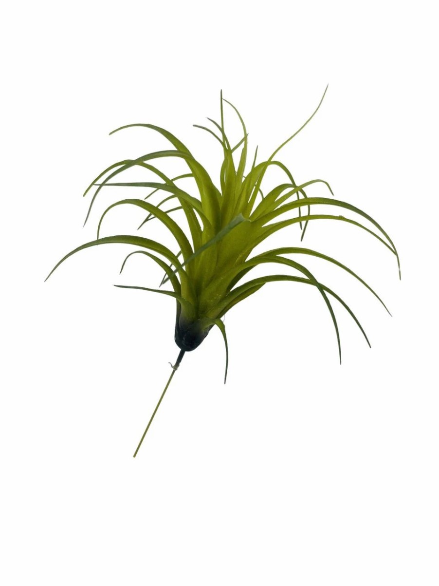 Artificial Florals & Plants * | Artificial Air Plant 5In Set Of Three Green