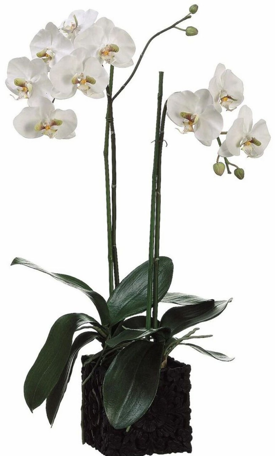 Artificial Florals & Plants * | 31 Phalaenopsis Orchid Plant In Polyresin Container White Green