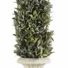 Artificial Florals & Plants * | Flocked Artificial Sage Cone Tabletop Topiary 24