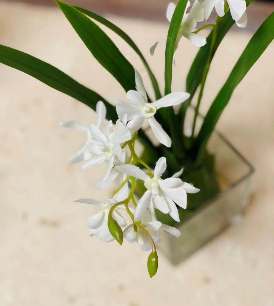 Artificial Florals & Plants * | Vanda Orchid In Glass Water Look 13