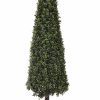 Seasonal * | 54 Artificial Deluxe Boxwood Cone Topiary